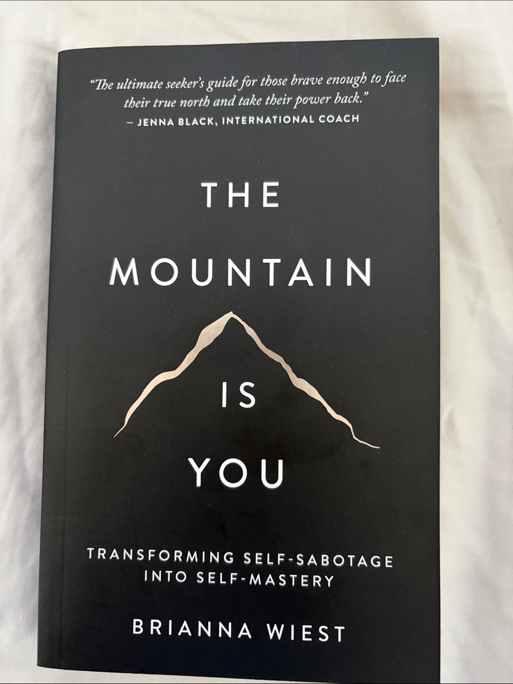 The mountain is you by Brianna West